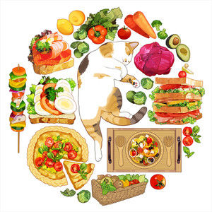 Meet your Posher, Gabby